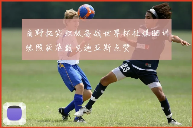 南野拓实积极备战世界杯社媒晒训练照获范戴克迪亚斯点赞